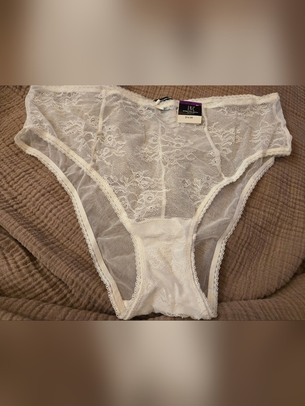 INC XXL International Concepts Sheer White Lace Bikini Briefs